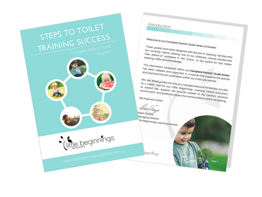 Steps to toilet training guide